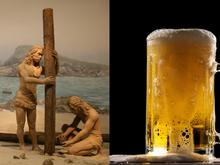 Os humanos gostam de cerveja.  A grande questão é se gostamos o suficiente para termos inventado a agricultura