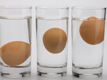 Com apenas um copo de água, você descobre se o ovo está estragado ou não sem precisar quebrar