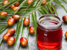 Azeite de dendê é vilão ou mocinho: entenda os impactos do ingrediente na sua saúde e como consumir do jeito certo