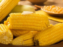 Pare de cozinhar milho em água pura: TudoGostoso ensina um truque simples para deixar os grãos doces e macios