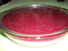 Sagu com creme maravilhoso