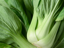 O vegetal rico em cálcio e vitamina K: recomendado para pessoas com mais de 60 anos, mas pouco conhecido