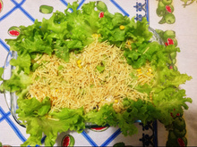 Salada leve de frango com maçã