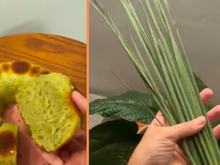 Receita de bolo de capim cidreira: cuidado que vai perfumar a vizinhança e todo mundo vai querer uma fatia!