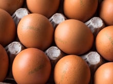 O detalhe que faz toda a diferença ao escolher ovos no mercado