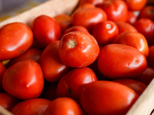 Os chefs de cozinha concordam: “Para realçar o sabor dos tomates, o ideal é deixá-los descansar por 5 a 10 minutos antes de consumi-los”