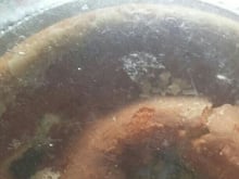 Pão nutritivo de fubá 