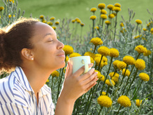 A planta comum nos jardins que é cheia de benefícios, mas ignorada pela maioria das pessoas