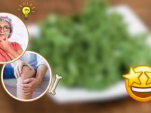 O vegetal milagroso repleto de colágeno que ajuda a memória e fortalece os ossos