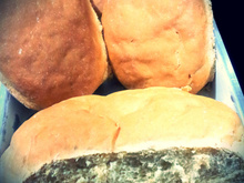 Pão caseiro para principiantes