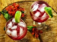 Gin com xarope de cranberry