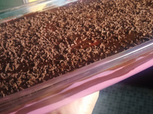 Sobremesa sensação