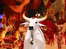 Coca-Cola azul, curral temático e rivalidade histórica: curiosidades sobre o Festival de Parintins, no Amazonas