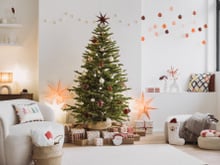 Árvore de Natal com 1,80m e mil galhos caiu para a metade do preço