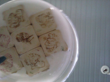 Pavê de bolacha passatempo