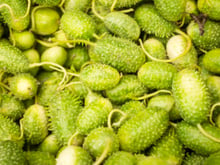 O maxixe é esquecido na feira, mas é cheio de benefícios e o TudoGostoso vai te ensinar 5 receitas deliciosas para incluir no seu cardápio