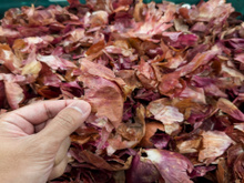 Quem diria que aquilo que a gente joga fora é o segredo para comida mais gostosa?