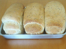 Pão caseiro temperado rápido