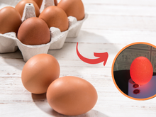 Como saber se o ovo está podre? Lanterna do seu celular pode te ajudar