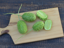 Quase ninguém liga para maxixe, mas você vai querer provar essas 5 receitas deliciosas e fáceis de fazer