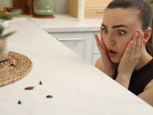 Está aparecendo barata na sua casa por causa do calor? Veja como capturá-las na sua cozinha usando um pouco de vaselina, uma armadilha caseira e eficaz