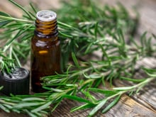 Use o alecrim de um jeito que você nunca pensou e turbine a sua memória