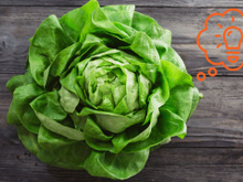 4 maneiras espantosas de usar uma cabeça inteira de alface sem fazer salada