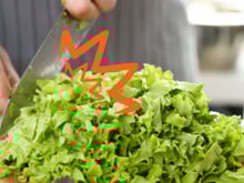 Como conservar alface crocante por até 7 dias: eu fiz e dá certo!