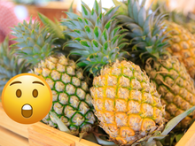 Sua vida foi uma mentira: o abacaxi é formado por até 200 frutas e isso explica o sabor azedo