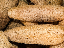 Como esponjas velhas e desgastadas podem se tornar tesouros para suas plantas