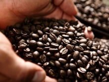 Com duas sacas de café, uma mula e nenhum centavo no bolso, brasileiro do sertão criou empresa que fatura mais de R$ 10 bilhões por ano