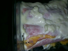 Canelone de Frango