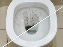 Privada limpa em poucos minutos: como remover calcário e sujeira facilmente com um produto que você nunca pensou