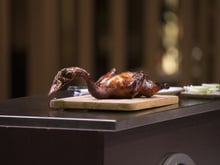Pato laqueado