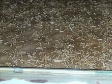 Morango com creme e chocolate