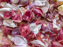 Não jogue as cascas de alho fora! Veja como fazer esse tempero fácil para usar todo dia