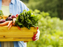 Onde encontrar feiras orgânicas no Rio de Janeiro
