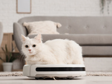 Quem sofre com pelos de cães e gatos pela casa precisa conhecer estes aspiradores de pó