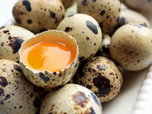 Pode comer ovo de codorna cru? O TudoGostoso responde essa dúvida!