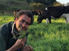 Da novela ao campo: o império orgânico de um ator famoso tem gado solto, queijo premiado e até café e chocolate