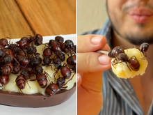 Ovo de Páscoa de tanajura? Influencer faz combinação ousada e viraliza nas redes sociais