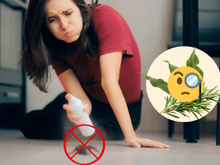 Adeus baratas: aprenda o truque das ervas que mantém esses insetos odiados bem longe