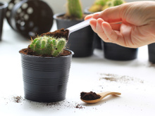 5 formas de utilizar a borra de café em casa: confira