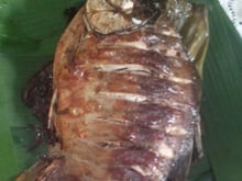 Peixe assado