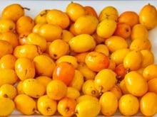 Seriguela é uma fruta brasileira repleta de benefícios para a digestão, coração e sistema imunológico