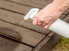 Adeus formigas: essa é a solução para resolver esse problema com ingredientes simples do armário