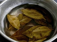 Ferver folhas de louro em meio copo de vinagre branco: para que serve e por que é recomendado?
