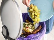 Larvas na lata de lixo da cozinha? Truque do TudoGostoso com apenas 2 ingredientes resolve o problema em minutos