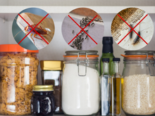 Levei 40 anos pra descobrir isso: truque simples espanta barata, formiga e traça da despensa e armários