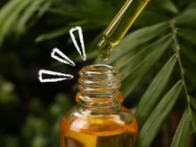 A tecnologia dos cientistas brasileiros para melhorar conservantes naturais de alimentos